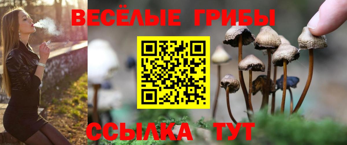 продажа наркотиков  Псилоцибиновые грибы прущие грибы  Вход с VPN  Саянск 
