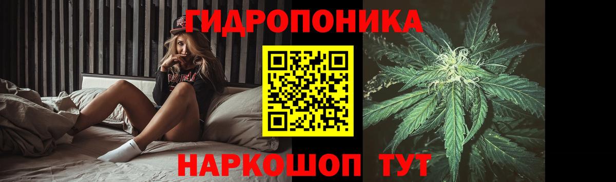 Канабис планчик Саянск
